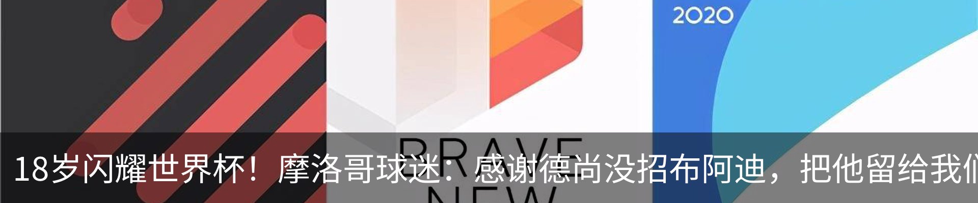 新闻动态